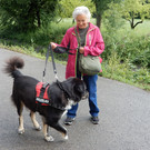 Ein gegenseitiges Glück für Mensch und Tier