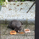 Wer kennt mich?