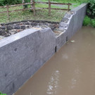 Wildbachbegehung 2021_05.jpg