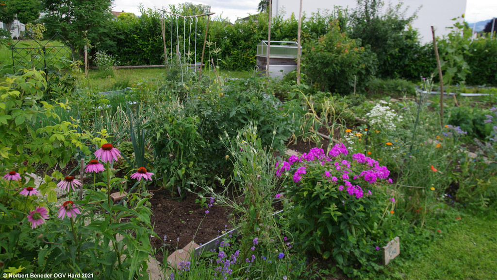 Treffpunkt_Sonnengarten_2021_01.jpg