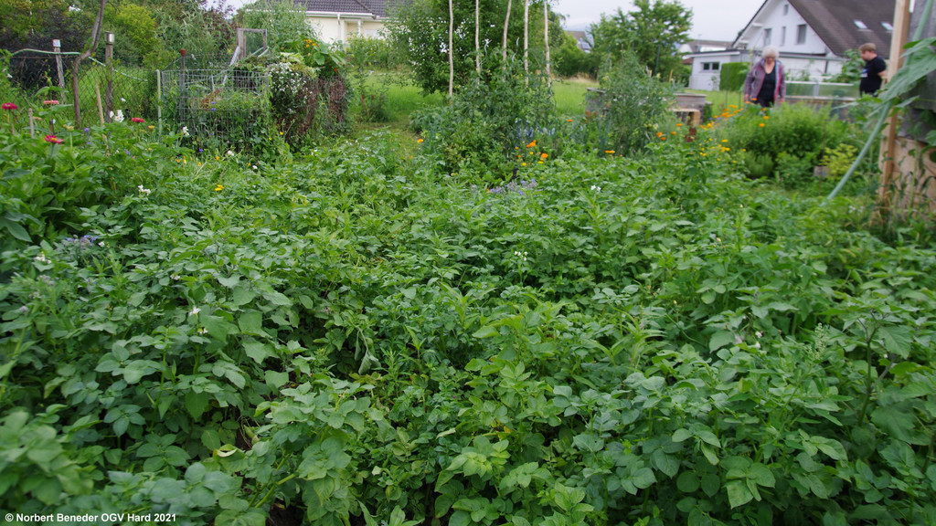 Treffpunkt_Sonnengarten_2021_02.jpg