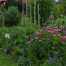 Treffpunkt_Sonnengarten_2021_05.jpg