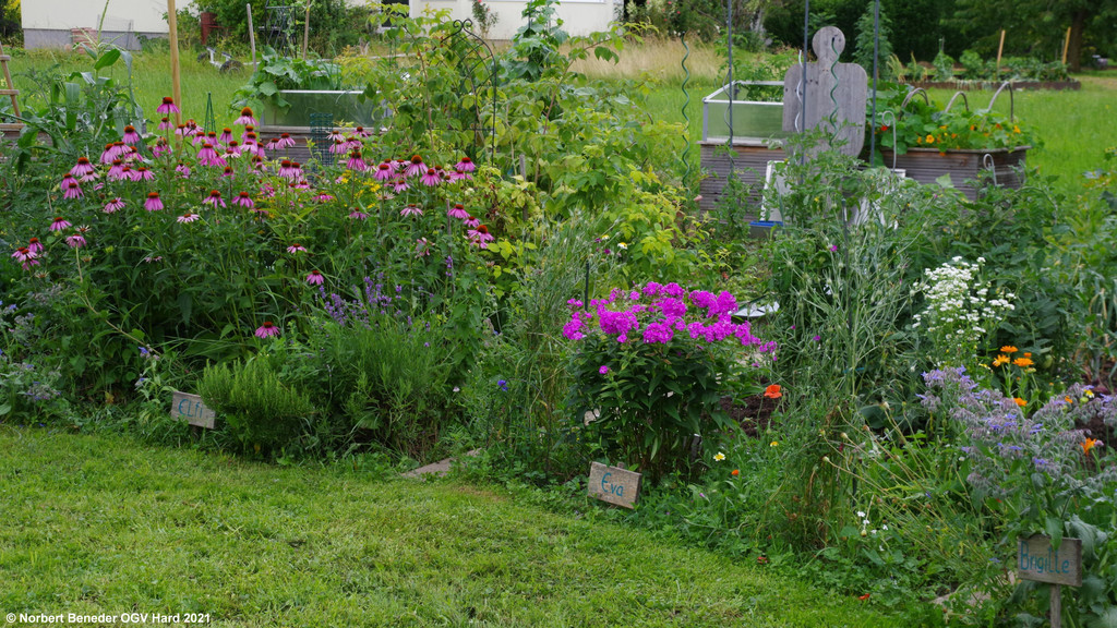Treffpunkt_Sonnengarten_2021_14.jpg