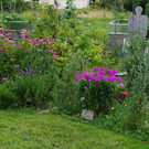 Treffpunkt_Sonnengarten_2021_14.jpg