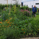 Treffpunkt_Sonnengarten_2021_17.jpg