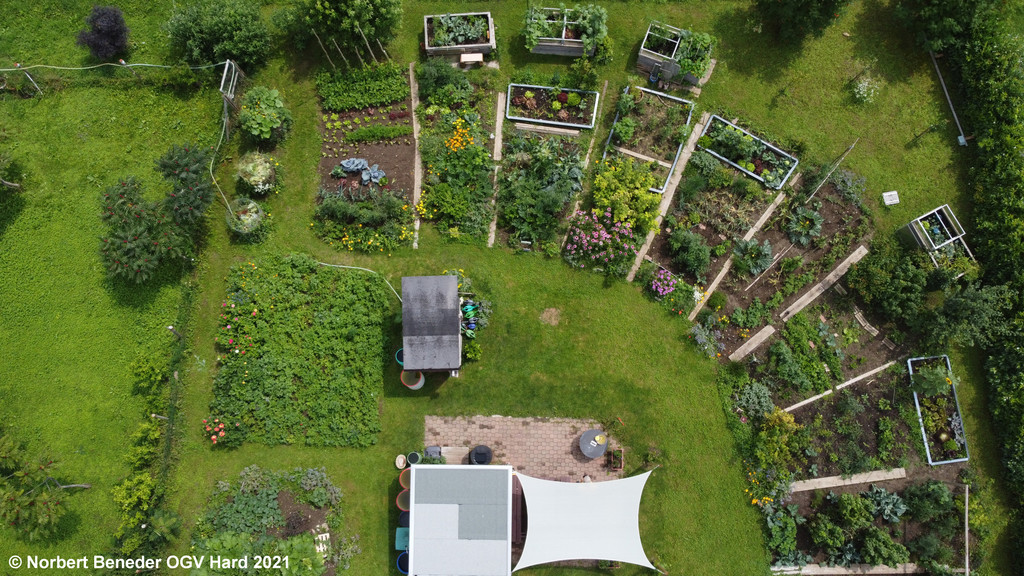 Treffpunkt_Sonnengarten 2021_21.jpg