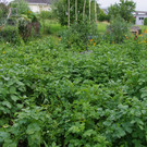 Treffpunkt_Sonnengarten_2021_02.jpg