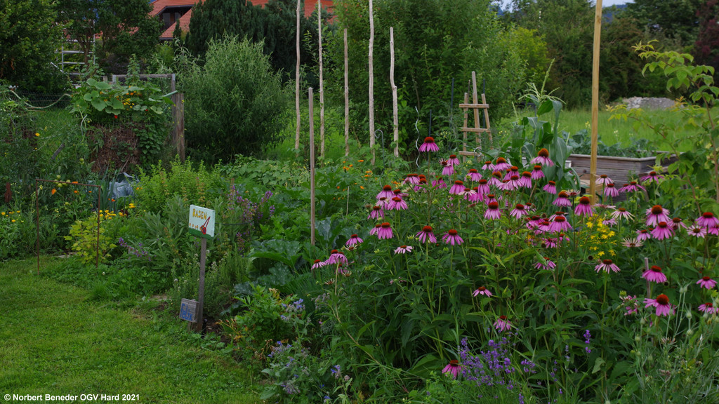 Treffpunkt_Sonnengarten_2021_05.jpg