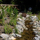 Kneipp und Relax Garten Kl__sterle _59_.jpg