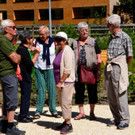 Kneipp und Relax Garten Kl__sterle _96_.jpg