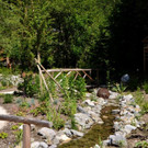 Kneipp und Relax Garten Kl__sterle _34_.jpg