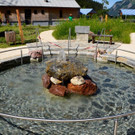 Kneipp und Relax Garten Kl__sterle _60_.jpg