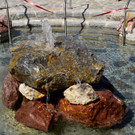 Kneipp und Relax Garten Kl__sterle _61_.jpg