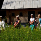 Kneipp und Relax Garten Kl__sterle _95_.jpg