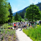 Kneipp und Relax Garten Kl__sterle _105_.jpg
