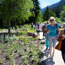 Kneipp und Relax Garten Kl__sterle _108_.jpg