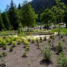 Kneipp und Relax Garten Kl__sterle _114_.jpg