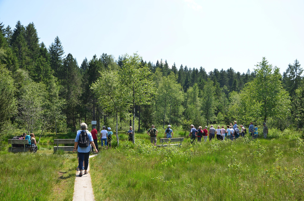 Sulzberg 210721_42.JPG