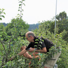 J__rgen am Baum_ Schnittkurs 2021 _19_ _Gro___.JPG