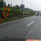 hund a14.jpg