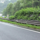 hund a14 1.jpg