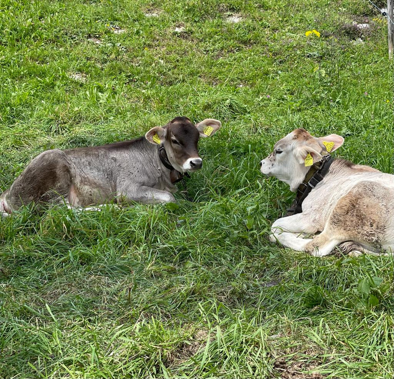 klangwandertag _35_.jpg