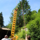 IMG_5264a.jpg