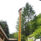 IMG_5290_P7270308_neu.jpg