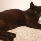 20200708_221636.jpg