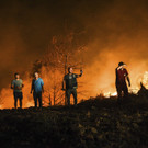 Turkey_Wildfire_41101.jpg