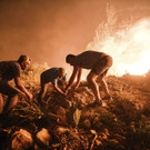 Turkey_Wildfire_18302.jpg