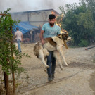 Turkey_Wildfire_77273.jpg