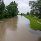 foto-lerch-010821001-4.jpg