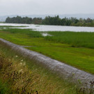 foto-lerch-010821001-8.jpg