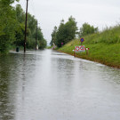 foto-lerch-010821001-10.jpg