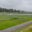 foto-lerch-010821001-9.jpg