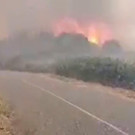 2021-07-25T195326Z_1246950066_RC2VRO93IY0T_RTRMADP_3_EUROPE-WEATHER-ITALY-FIRES.JPG
