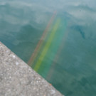 Bregenz: Regenbogen-Bank im Bodensee versenkt