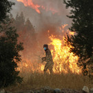 AFP_9JV9NX.jpg