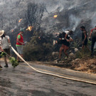 AFP_9JV9PA.jpg