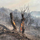 AFP_9JV9PV.jpg