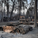 AFP_9JW63F.jpg