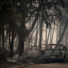 AFP_9JW77Z_1.jpg