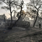 AFP_9JW7TH.jpg