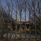 Greece_Wildfire_01387.jpg