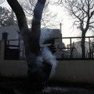 Greece_Wildfire_08071.jpg