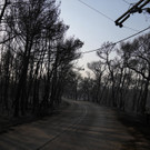 Greece_Wildfire_53462.jpg