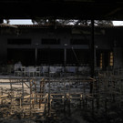 Greece_Wildfire_59041.jpg