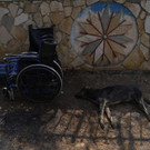 Greece_Wildfire_59154.jpg