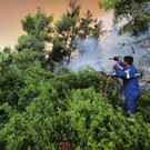 Greece_Wildfire_85528.jpg